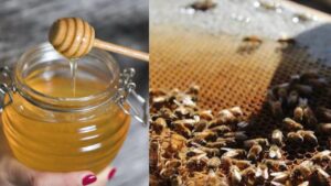 honey with warm water has several benefits