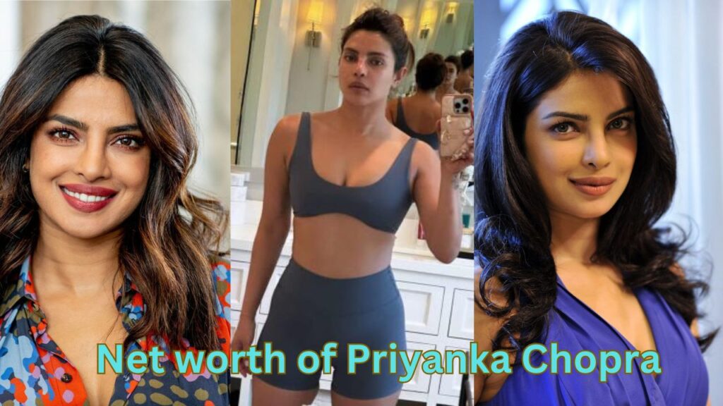 Net worth of Priyanka Chopra