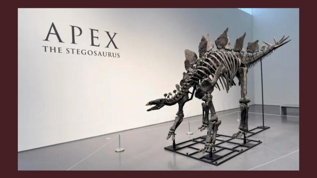 Billionaire Ken Griffin Breaks Auction Records