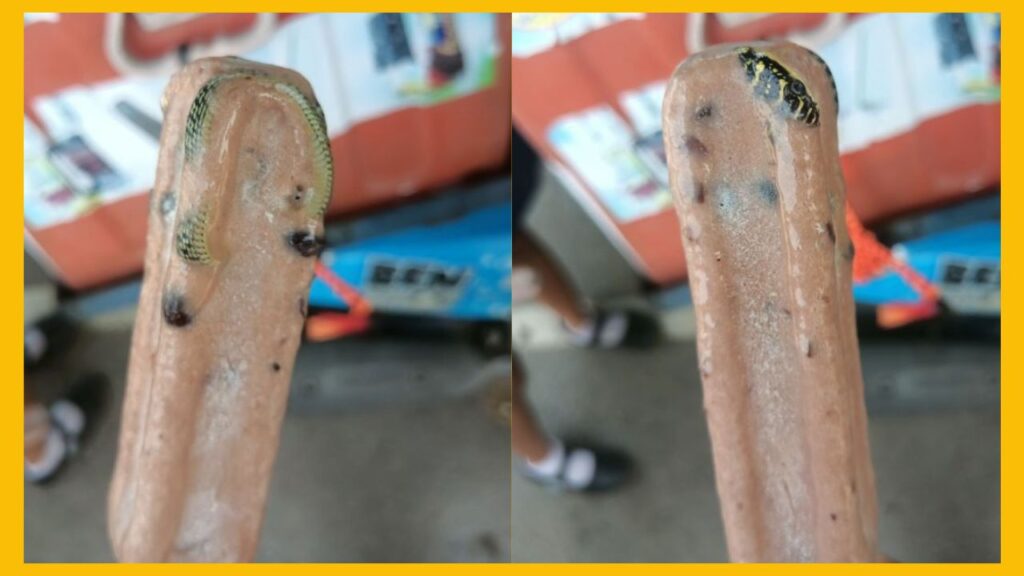 Man Finds Frozen Snake