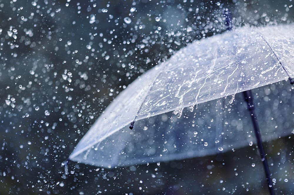 Monsoon Arrives Early in Kerala